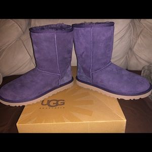 Classic short Ugg boots, purple